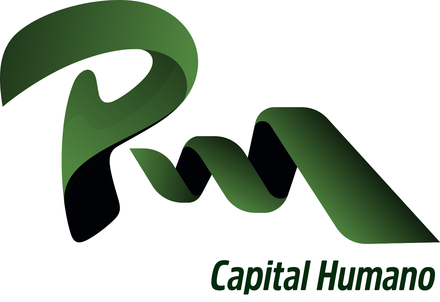 PM Capital Humano